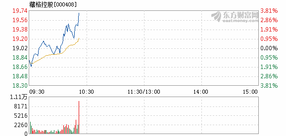 藏格控股最新消息深度解析与概述