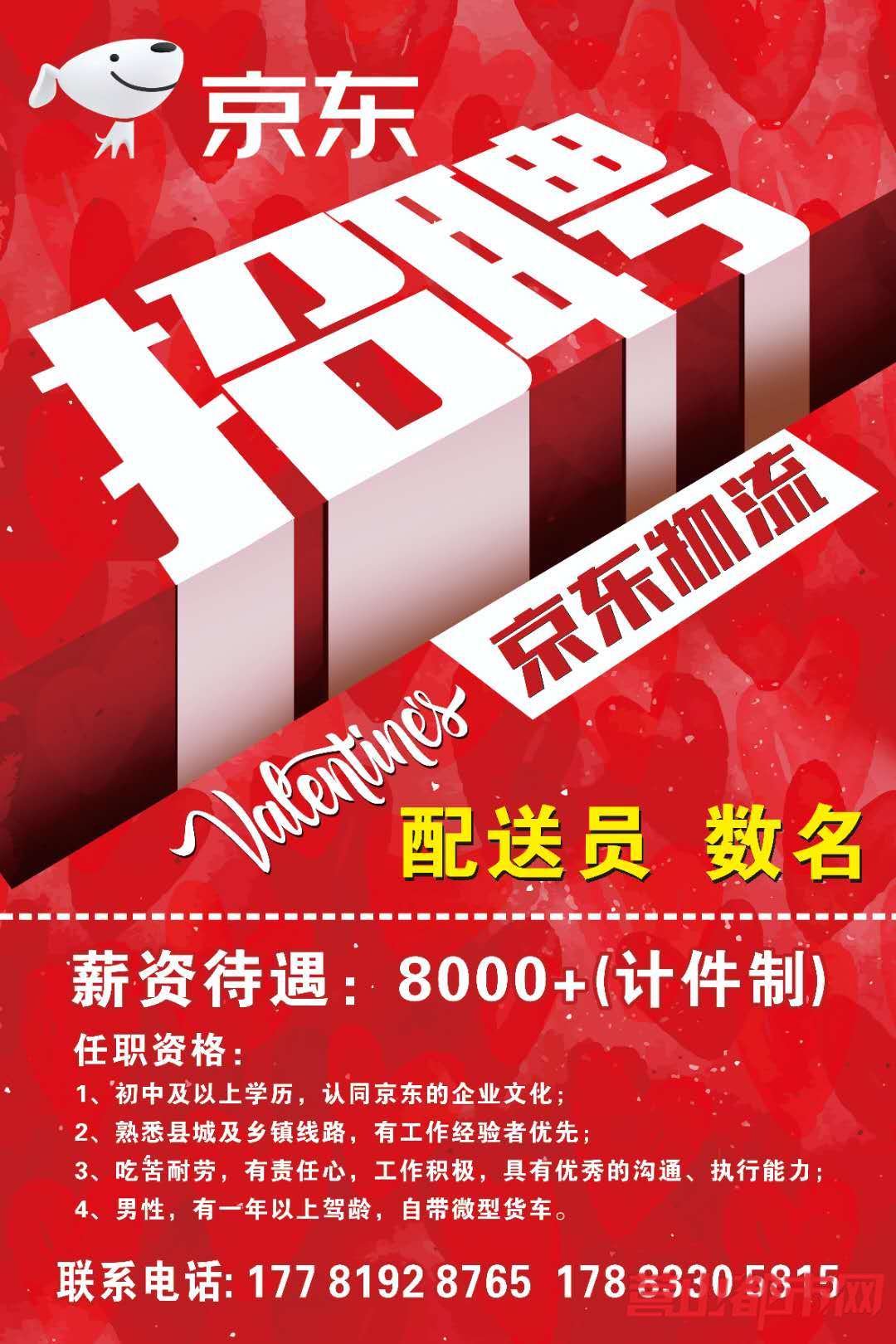 京东招聘网最新司机招聘信息概览，全面解析最新招聘司机信息