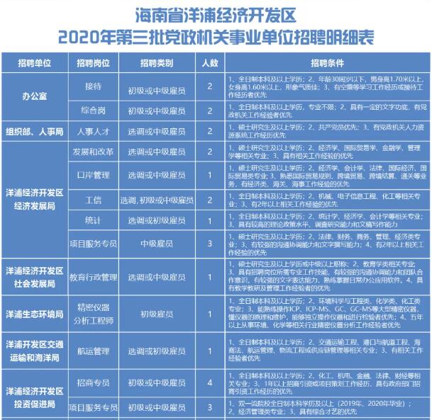 洋浦招聘网最新招聘动态深度解析及职位推荐