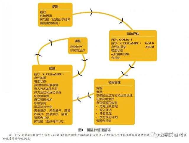 慢阻肺治疗最新进展综述，革新策略与临床应用