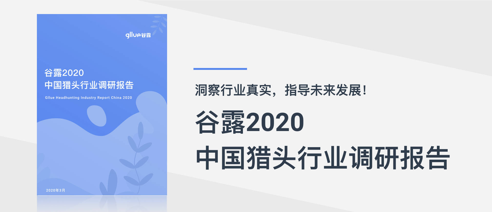 农业科技璀璨明珠，最新谷露技术揭秘