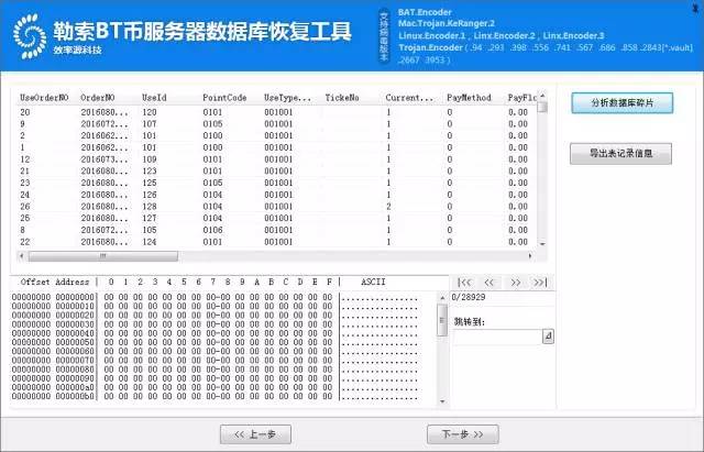 2024新澳门历史开奖记录查询结果,高效工具解析落实_还原集3.119