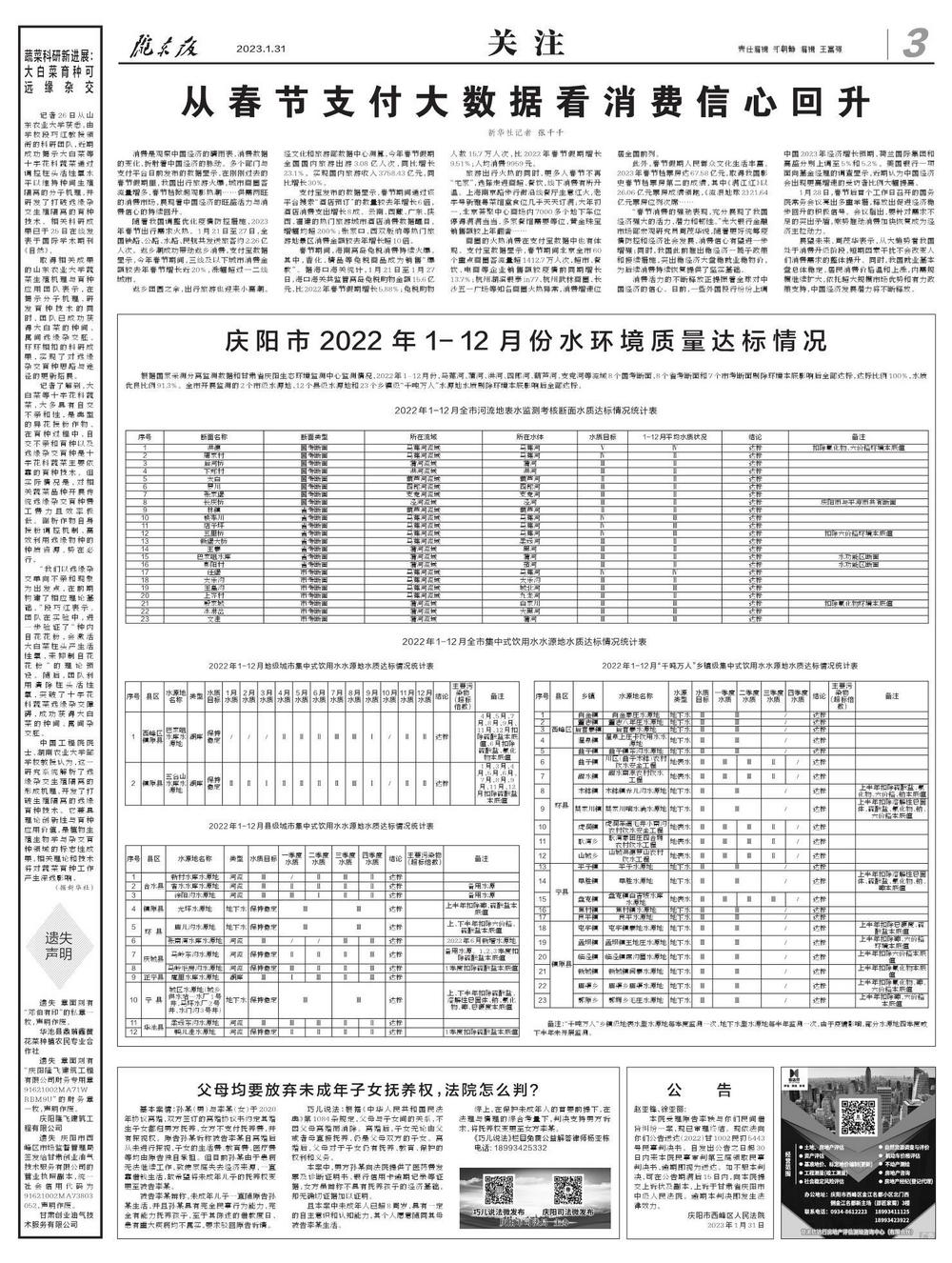 二四六香港资料期期准使用方法,全面实施数据策略_梦幻版9.082