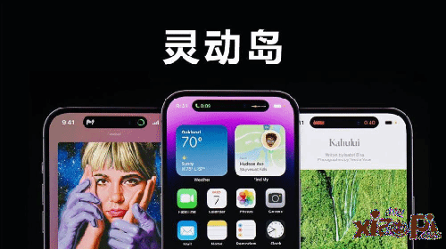 赵明称iPhone灵动岛概念源于荣耀