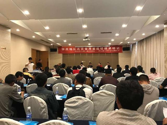 专家揭秘，高科技产品助力演习随时由训转战全新体验揭秘