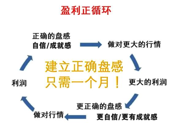 澳门内部资料独家提供,澳门内部资料独家泄露,节约实施解释解答_防御集3.349