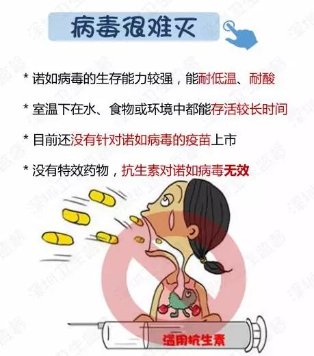 诺如病毒高发季，小巷深处的独特防护与美食宝藏探索