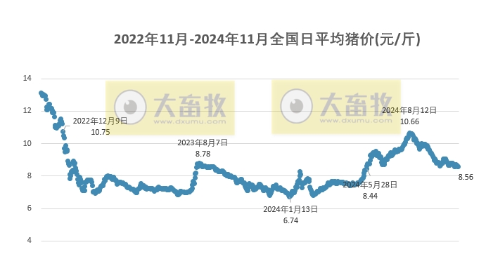 生猪价格今日最新动态及分析观点阐述