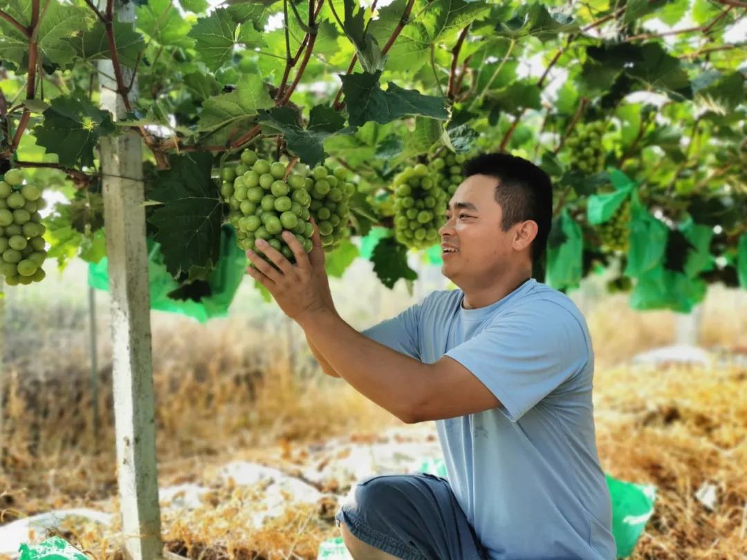 寿县最新动态，学习之光，塑造未来之梦