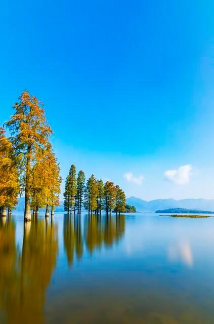 最新上市手机，探索自然美景，启程内心平静之旅