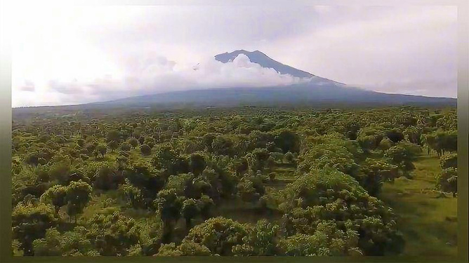 探索自然美景的治愈之旅，最新视频在线观看网站