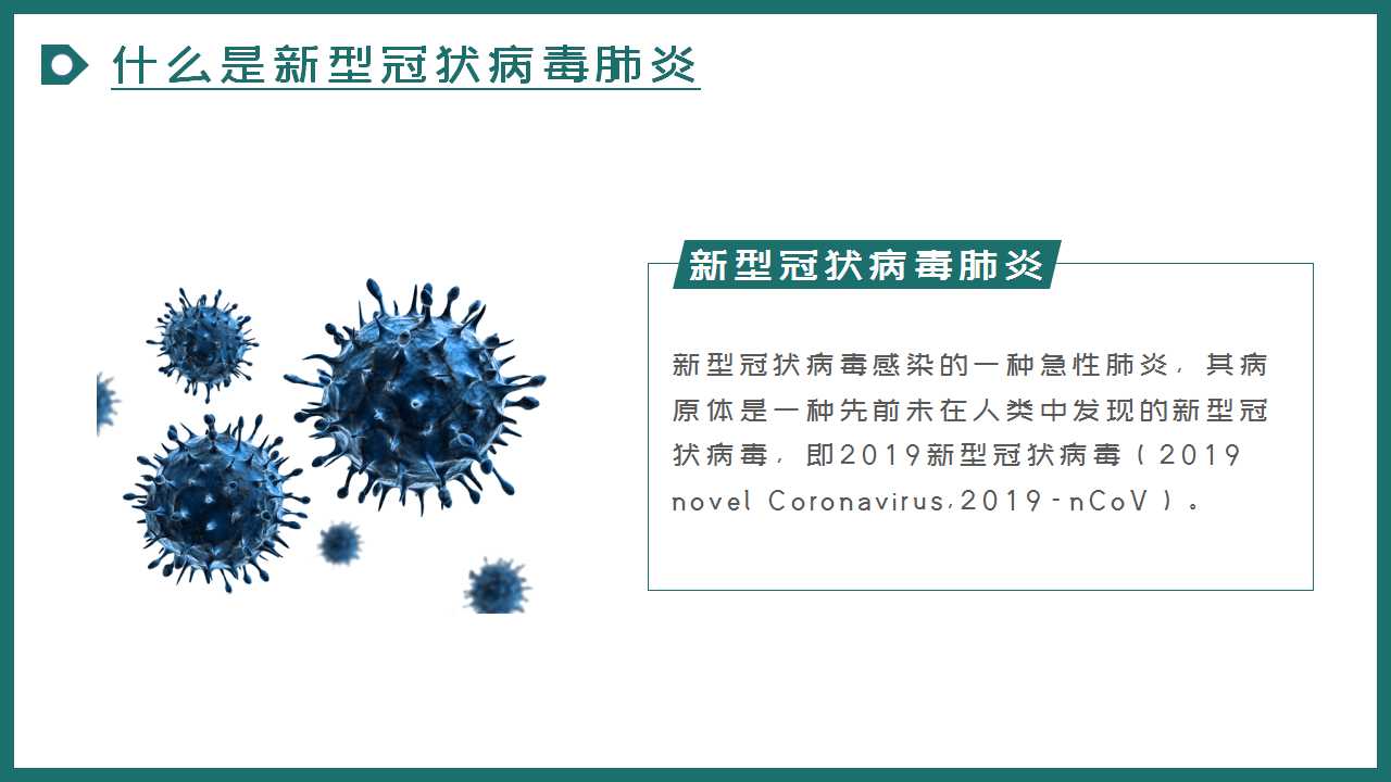 全球关注下的新冠病毒最新动态，科学解读与防控要点