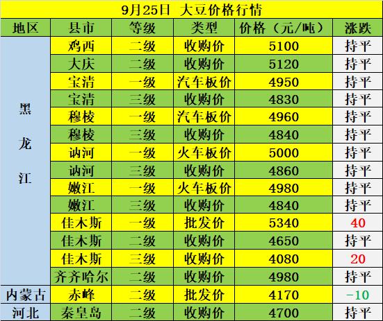 大豆最新行情动态更新📈🌱