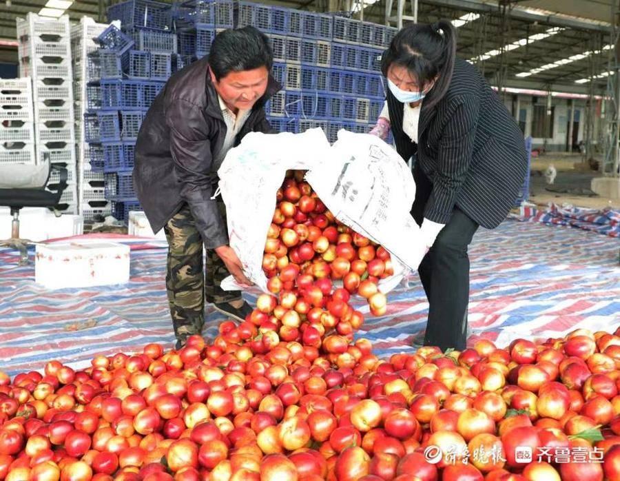 莒县新闻，高科技产品引领未来，体验前所未有的科技生活