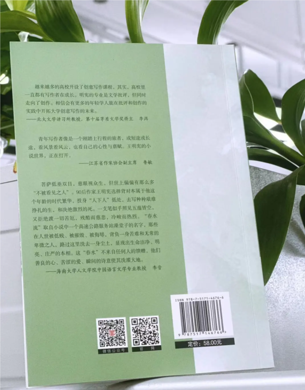 最新爱情小说，自然之旅，探寻内心平静的力量