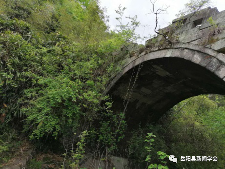 岳阳小巷深处的独特美食宝藏，最新新闻报道揭秘美食秘境