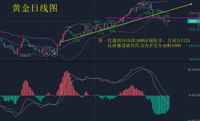 黄金走势分析最新消息详解，步骤指南与动态更新