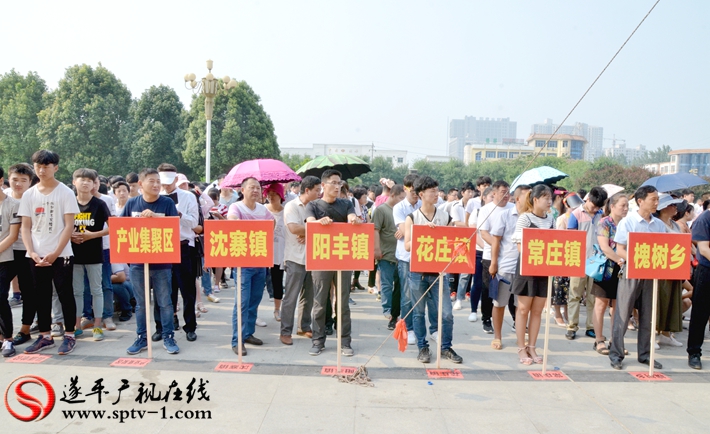 遂平最新招聘信息揭秘，逐梦遂平，优质职位等你来！