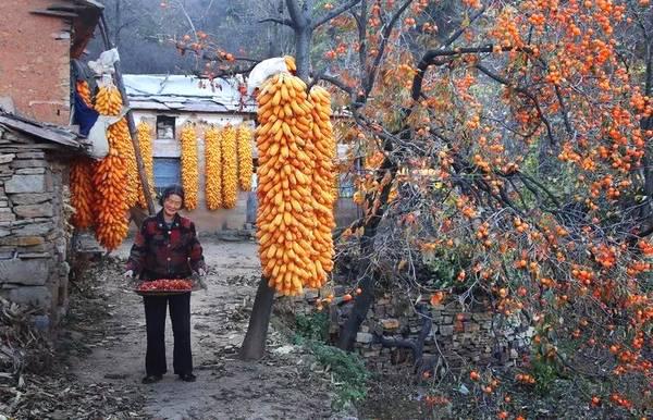 秋霞网最新热点，小巷深处的独特风味特色小店探索记