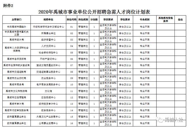 禹城最新招聘信息回顾，时代脉搏与人才舞台的交融