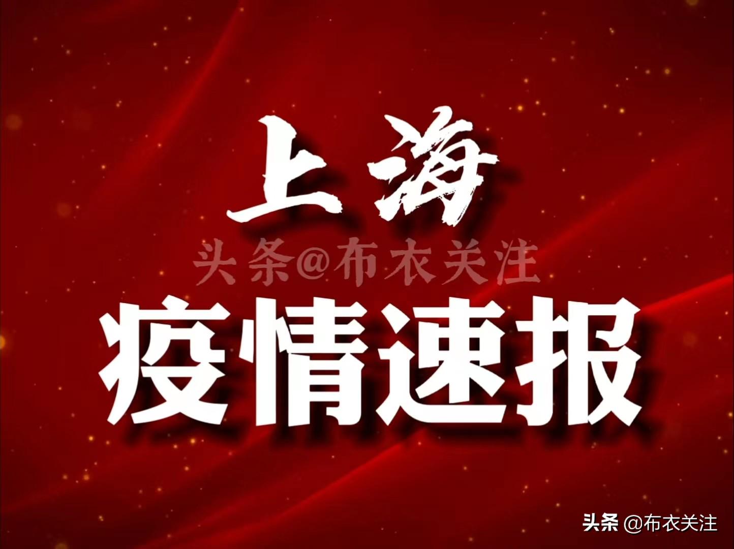 上海疫情最新更新报告，今日动态与数据概览