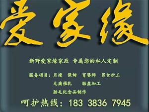 新野最新招聘信息，家的温馨故事与求职者的相遇点