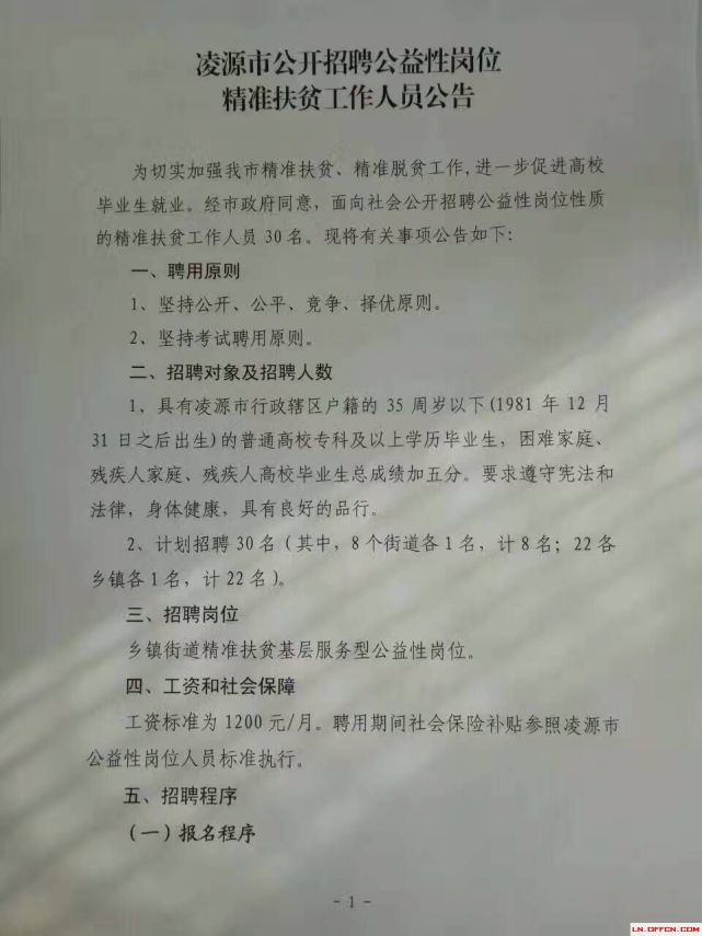 凌源最新招聘，观点阐述与分析概览