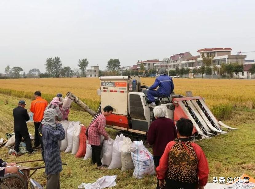 集体土地最新政策解读与概览📣🌱