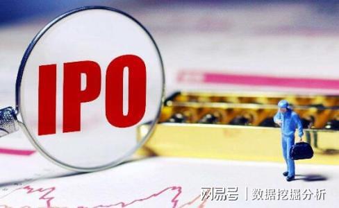 市场趋势深度解析