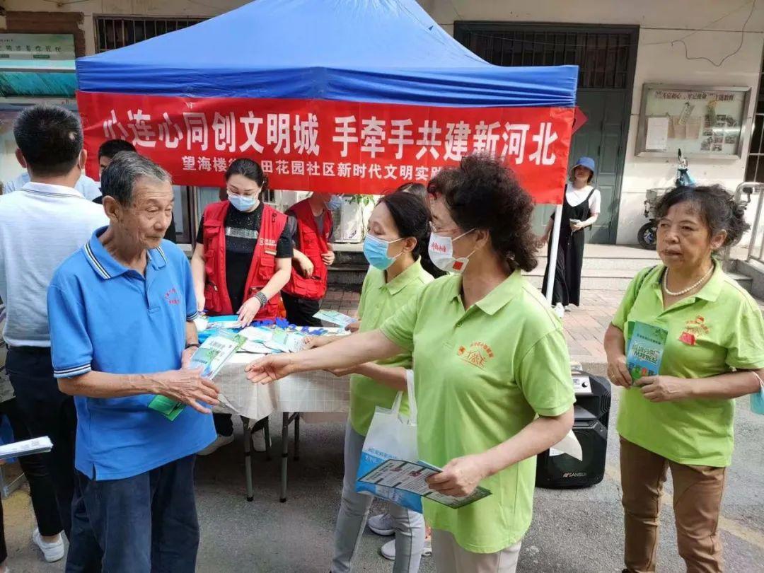 广东疫情最新动态与小巷中的别样故事探索
