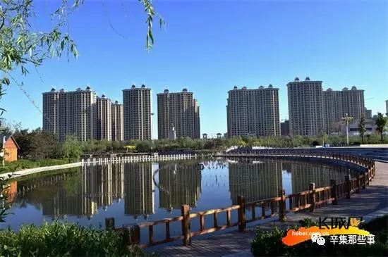辛集新变革，学习自信，成就梦想之舞
