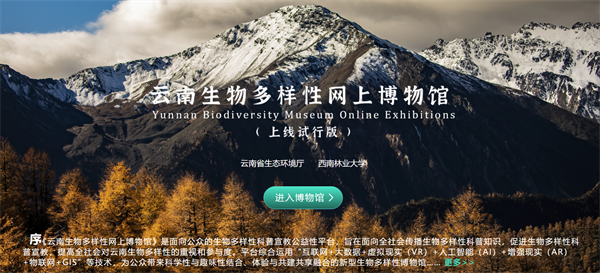 时空穿越之旅，多样性与现实思考的探索