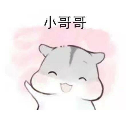 城市甜蜜日常，最新言情小说里的浪漫日常