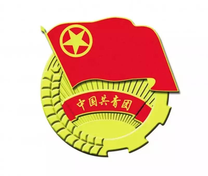 最新审核要点解析聚焦报告
