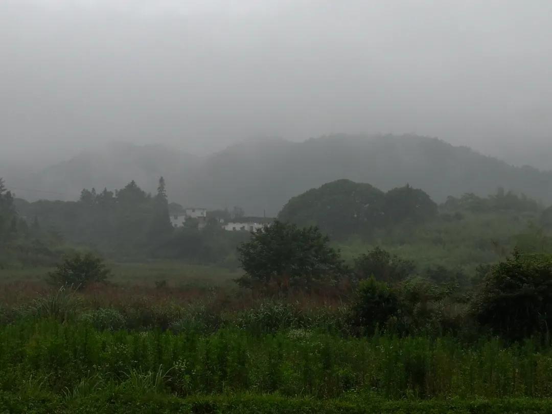 青岛物流公司 第287页