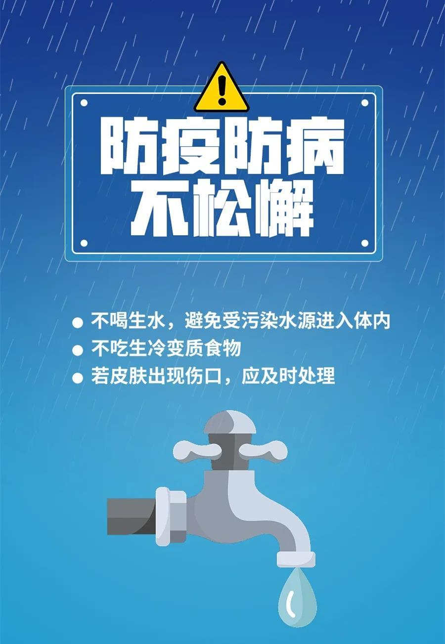 动力煤最新消息解读，获取与解读步骤指南