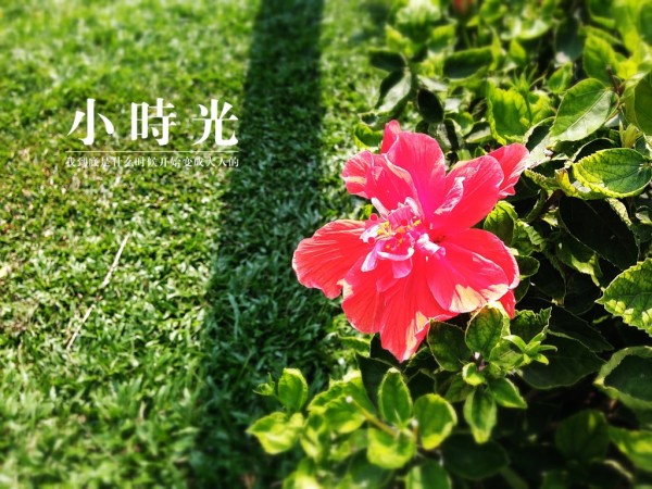 青岛物流公司 第233页