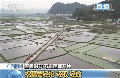 第570页